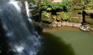 雅安碧峰峡 雅安碧峰峡